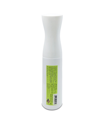 "丰彩"一噴消毒乾洗噴霧 300ml