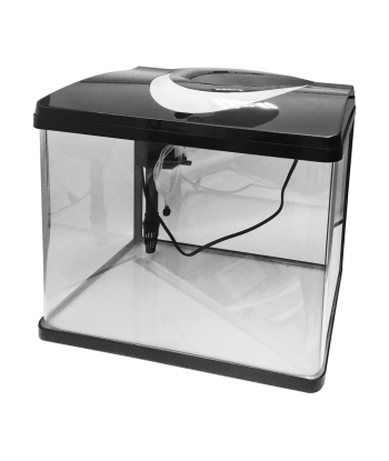 Experience a Panoramic View with The Ecological High-Definition Curved Glass Fish Tank