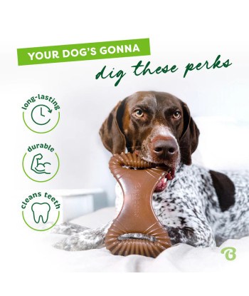 煙肉味搖擺狗咬膠