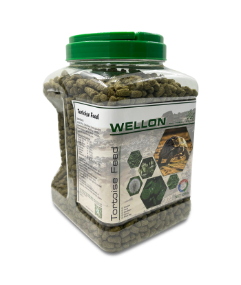 Wellon 陸龜糧