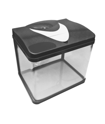 Experience a Panoramic View with The Ecological High-Definition Curved Glass Fish Tank