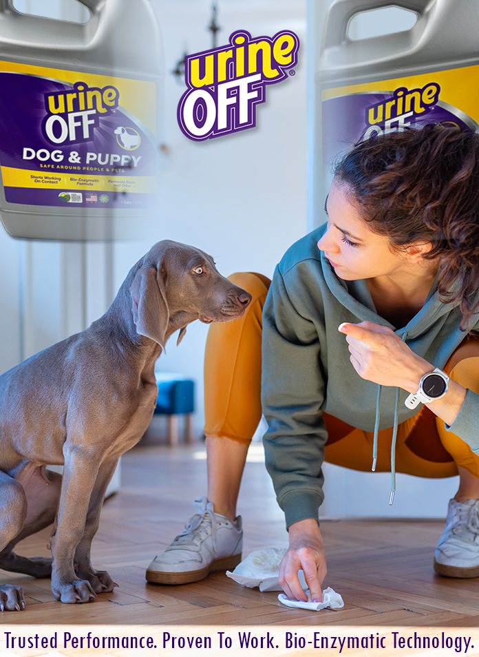 Urine stain and odor eliminators safe for use on most household surfaces